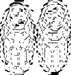 Faucet Handles; Type: Faucet Handles ; Style: Acrylic Handle (Single Knob) ; For Manufacturer: CC ; For Manufacturer's Number: EMPTY ; PSC Code: 4510